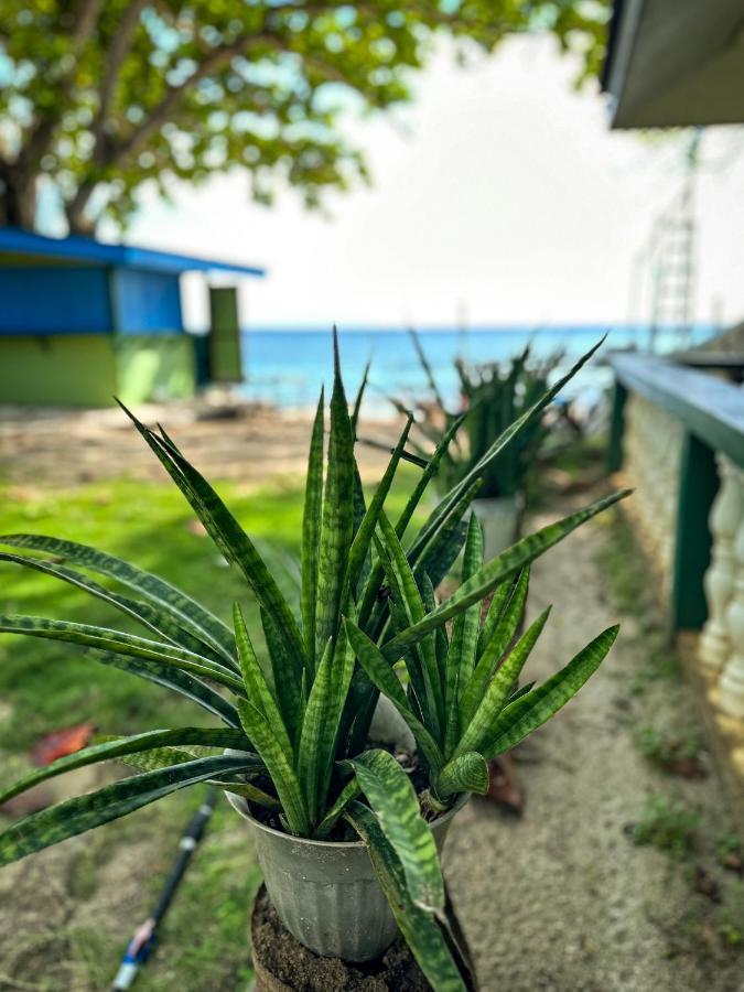 1Peace Beach Resort Anda  Eksteriør bilde
